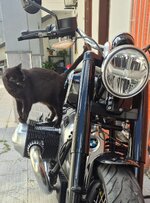 IMG_0477.jpeg