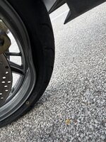 IMG_2178.jpeg IMG_2178.jpeg