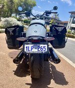 IMG_5246.jpeg
