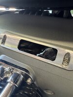 IMG_8343.jpeg