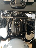 IMG_6387.jpeg