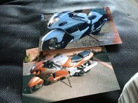 IMG_2559.jpeg
