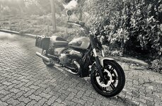 IMG_6408.jpeg