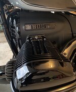 IMG_6399.jpeg