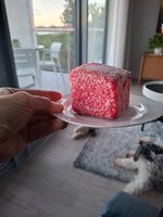 20260801_171712.jpg