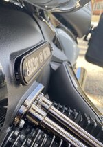 IMG_6504.jpeg