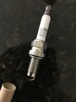 IMG_0136.webp IMG_0136.webp