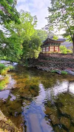 20220723_072844.jpg