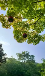 20220723_073623.webp
