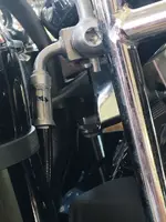 IMG_6645.webp