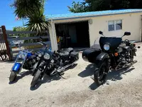 3 bikes best.webp 3 bikes best.webp