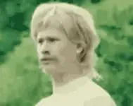 wtf-gif.webp