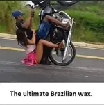 wax.webp