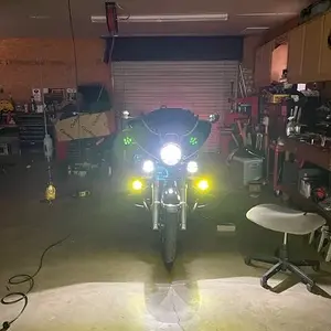 Erica Clearwater's Low beam.jpg