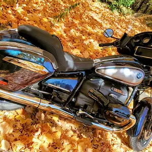 R18B-Fall.jpg